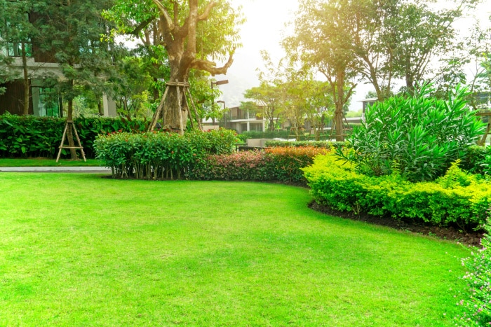 Pulizie Giardino